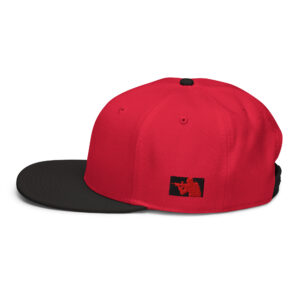 Snapback Hat - Image 3